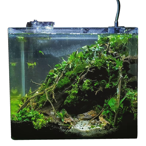 Aqua Viu Curved Glass Tanks - 45 x 21 x 26 cm